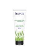 Peelingi do ciała - Perfecta Zielony jęczmień i jarmuż Peeling do ciała 200g 010213334 - miniaturka - grafika 1