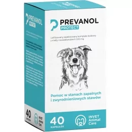 Prevanol protect 40 tabletek - Suplementy i witaminy dla kotów - miniaturka - grafika 1