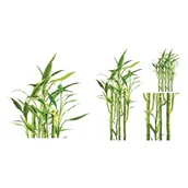 Okleiny - Naklejka Madex 10017 Bambus - miniaturka - grafika 1