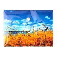 Teczki i skoroszyty - Teczka kopertowa PP A6 Niebo VISTA Narcissus - miniaturka - grafika 1