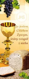 Baner na Boże Ciało "Ja jestem.." żółty 75x200cm - Ikony i obrazy sakralne - miniaturka - grafika 1