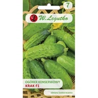 Nasiona i cebule - OGÓREK KRAK F1 Konserwowy Nasiona plenny - miniaturka - grafika 1