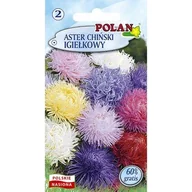 Nasiona i cebule - Aster Chiński Igiełkowy - Mieszanka Polan - miniaturka - grafika 1