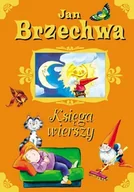 Książki edukacyjne - Księga wierszy - miniaturka - grafika 1