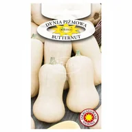 Nasiona i cebule - DYNIA PIŻMOWA BUTTERNUT NASIONA - miniaturka - grafika 1