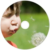 Nośniki danych - Płyta DVD-R Verbatim Wide Inkjet Printable 4.7GB 16X 25szt 43538 - miniaturka - grafika 1