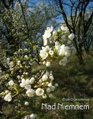 E-booki - literatura polska - Nad Niemnem - miniaturka - grafika 1