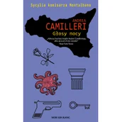 Powieści sensacyjne - Głosy nocy - miniaturka - grafika 1