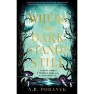 Obcojęzyczna literatura faktu i reportaż - Where the Dark Stands Still - miniaturka - grafika 1