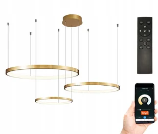 Lampa 40/60/80 pilot okręgi ring żyrandol Led Tuya - Lampy sufitowe - miniaturka - grafika 1