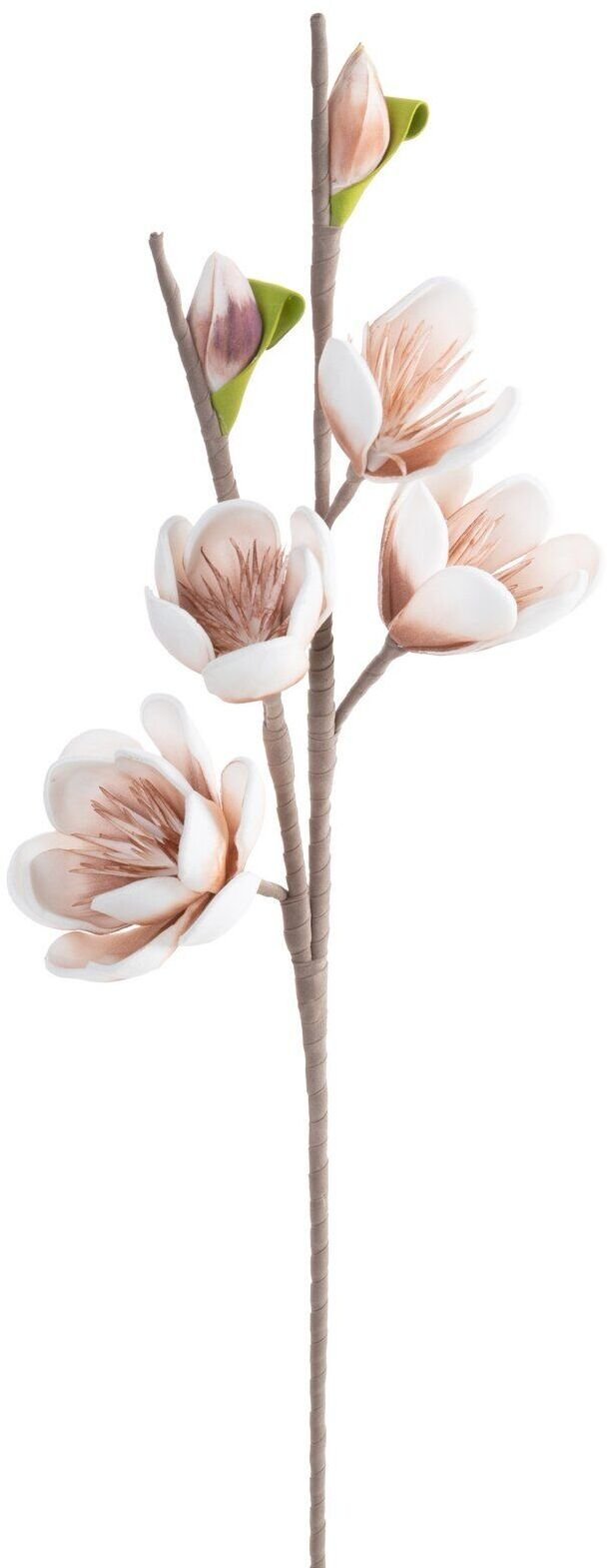 Eurofirany Sztuczna gałązka magnolii jasnobrązowa 69 cm komplet 6 szt