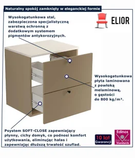 Szafka łazienkowa pod umywalkę cappuccino + marmur - Tavesi 4X - Szafki łazienkowe Szafka łazienkowa pod umywalkę cappuccino + marmur - Tavesi 4X - Szafki łazienkowe - miniaturka - grafika 1