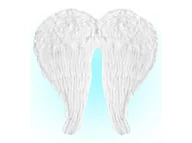 Dodatki do strojów karnawałowych - Skrzydła anioła białe z piórami - 60 x 46 cm - 1 szt. - miniaturka - grafika 1