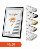 Ramki na zdjęcia - Rama Aluminiowa Alu G 30x45 - miniaturka - grafika 1