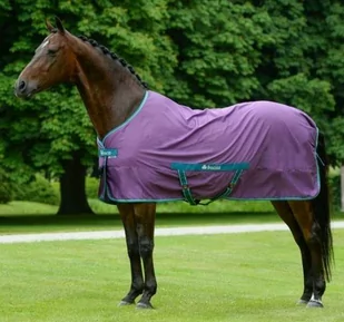 Bucas Derka letnia FREEDOM TWILL - violet/green - Derki dla konia - miniaturka - grafika 1