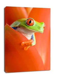 Żaba w Kwiecie - obraz na płótnie Wymiar do wyboru: 60x80 cm - Obrazy i zdjęcia na płótnie - miniaturka - grafika 1