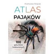 Nauki przyrodnicze - Atlas pająków - miniaturka - grafika 1