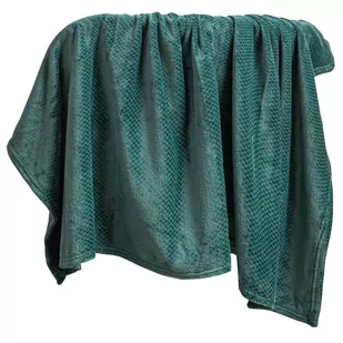 Koc 70 x 150 Pluszowy Mikrofibra Willy Butelkowy - Koce - miniaturka - grafika 2