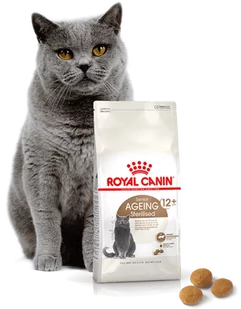 ROYAL CANIN Ageing Sterilised +12 2kg + niespodzianka dla kota GRATIS! - Sucha karma dla kotów - miniaturka - grafika 4