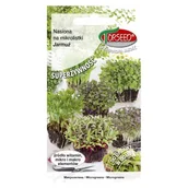 Nasiona i cebule - nasiona na mikroliście kiełki Jarmuż 2g Torseed - miniaturka - grafika 1