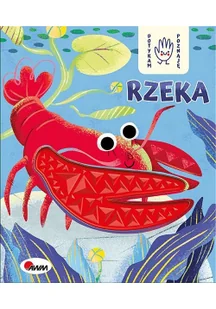 Rzeka. Dotykam, poznaję - Literatura popularno naukowa dla młodzieży - miniaturka - grafika 2