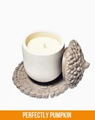 Świece - Świeca Zapachowa – Żołądź Aromatów (Szary) – 140 ml – Świeczka idealna na jesienne wieczory – Zapach Perfectly Pumpkin - miniaturka - grafika 1