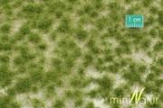 Kolejki i akcesoria - Silhouette Kępki trawy wysokiej, wczesna jesień 15x8cm 727-33S - miniaturka - grafika 1
