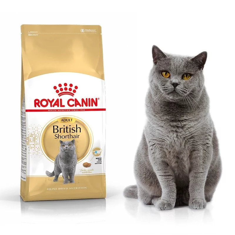 Royal Canin British Shorthair Adult 34 drób 4 kg