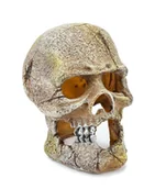 Dekoracje do akwarium - Ozdoba akwariowa Happet U715 czaszka 13 cm - miniaturka - grafika 1