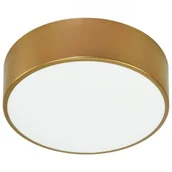 Lampy sufitowe - TEMAR LIGHTING Lampa sufitowa Cleo,  20 cm, złota - miniaturka - grafika 1