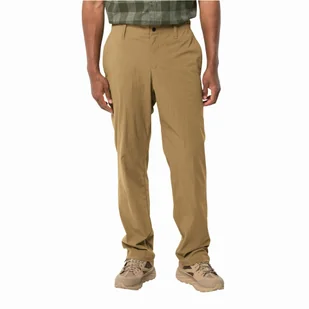 Męskie spodnie Jack Wolfskin DESERT PANTS M duneland - 54S - Spodnie męskie - miniaturka - grafika 1