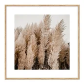 Obrazy i zdjęcia na płótnie - Zestaw obrazów Suszki sukulent 30 x 30 cm 4 szt. - miniaturka - grafika 1