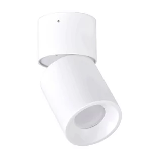 Polux Oczko natynkowe 1x10W GU10 Nixa 314239 SANICO 314239 - Lampy sufitowe - miniaturka - grafika 1