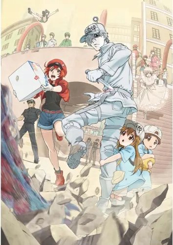 Plakat Anime Cells at Work hs_001 A2 (custom)