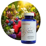 Zapachy do domu - BERRIES BLOSSOM - Kompozycja Zapachowa 200 ml - miniaturka - grafika 1