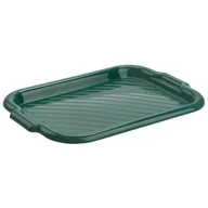Tace i patery - Taca prostokątna MOLLY 40 x 28 cm zielony - miniaturka - grafika 1