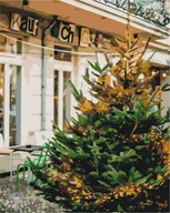 Malowanie po numerach - Malowanie po numerach - Przedświąteczna piękność - miniaturka - grafika 1