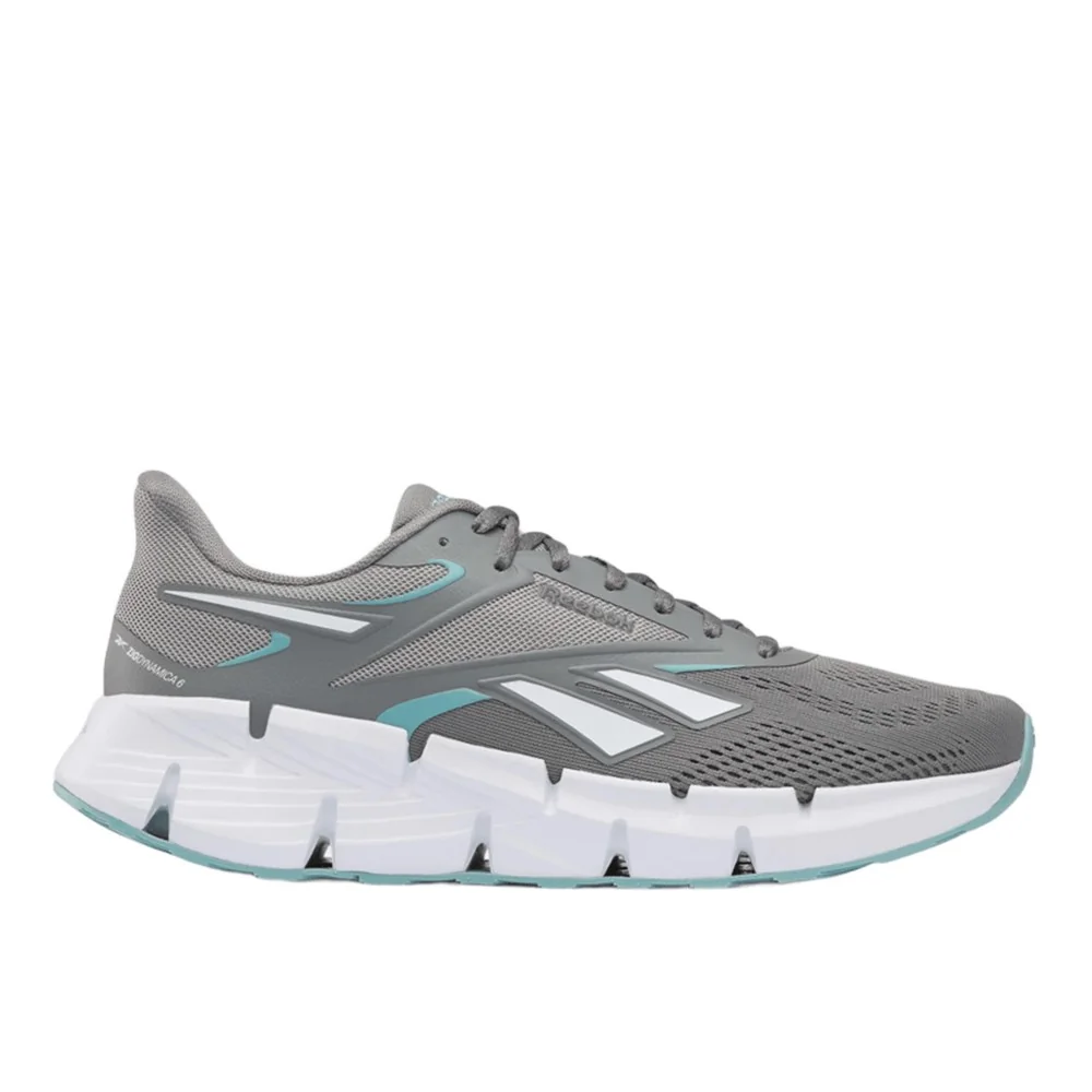Buty Reebok Zig Dynamica 6 100271437