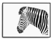 Plakaty - Plakat r A3 42x30 cm Zebra Zwierzę Natura - miniaturka - grafika 1