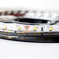 Taśmy LED - Milagro Milagro Taśma LED Pro 5m 60/1mb 24W/500cm Zimna biała 6000K IP65 ML4750 - miniaturka - grafika 1