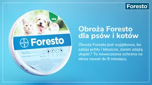 BAYER Foresto Obroża dla kotów i psów poniżej 8kg + NIESPODZIANKA DLA PSA GRATIS !! - Artykuły przeciw pasożytom - miniaturka - grafika 3