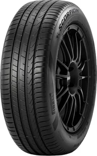 Pirelli Scorpion 255/50R19 107T - Opony terenowe i SUV letnie - miniaturka - grafika 1