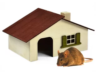 Pinokio DOMEK DLA CHOMIKA &quot;MAHOŃ&quot DUŻY - Akcesoria dla gryzoni - miniaturka - grafika 1