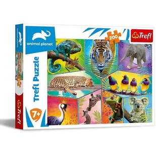 Trefl Puzzle 200el W egzotycznym świecie Discovery Animal Planet 13280 p12 13280 - Puzzle - miniaturka - grafika 1