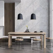 Lampy sufitowe - Casablanca Clavio wisząca 2-pkt. antracyt/czarna - miniaturka - grafika 1