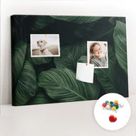 Tablice i flipcharty - Szkolna Tablica korkowa 60x40 cm, Kolorowe Pinezki, wzór Tropikalna monstera - miniaturka - grafika 1
