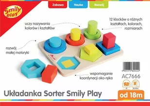 Smily Układanka Sorter - Sortery dla dzieci - miniaturka - grafika 1