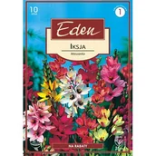 Nasiona i cebule - Ixia mix 10 sztuk Eden - miniaturka - grafika 1