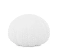 Figurki dekoracyjne - Art. Dekoracyjny Figurka Morska Marynistyka - miniaturka - grafika 1