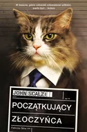 Audiobooki - fantastyka i horror - Początkujący złoczyńca - miniaturka - grafika 1
